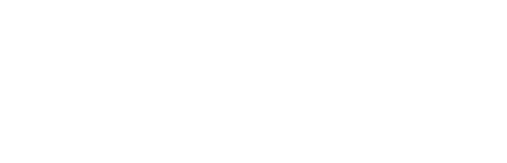 LifeCycle
